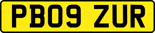 PB09ZUR
