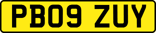 PB09ZUY