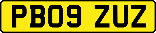 PB09ZUZ