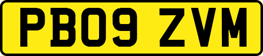 PB09ZVM