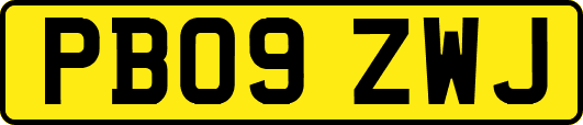 PB09ZWJ