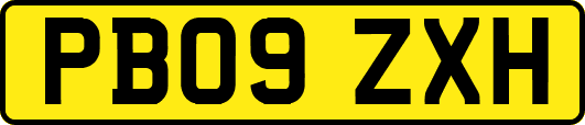 PB09ZXH
