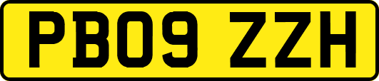 PB09ZZH