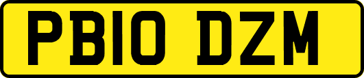 PB10DZM