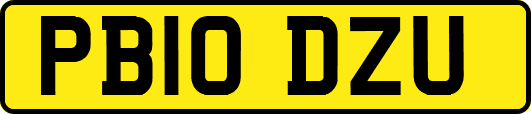 PB10DZU