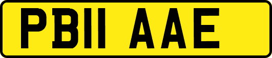 PB11AAE