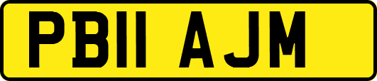 PB11AJM