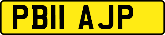 PB11AJP