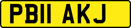 PB11AKJ