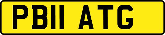 PB11ATG