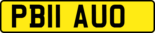 PB11AUO