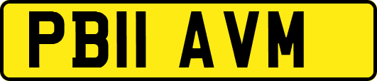 PB11AVM