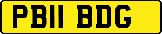 PB11BDG