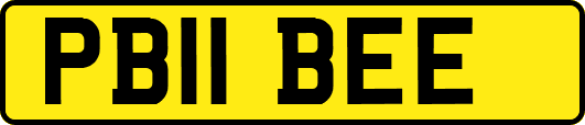 PB11BEE