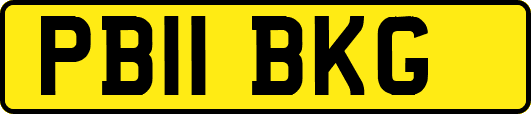 PB11BKG