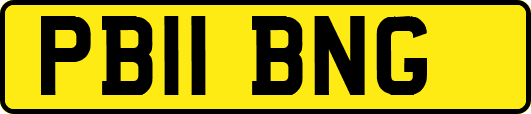 PB11BNG