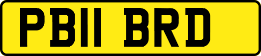PB11BRD