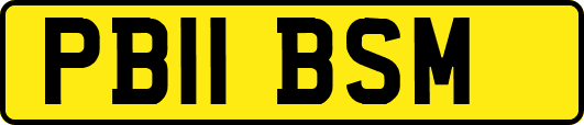 PB11BSM