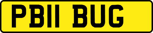 PB11BUG