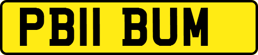 PB11BUM