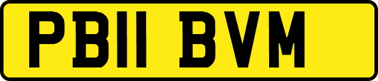 PB11BVM