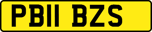 PB11BZS