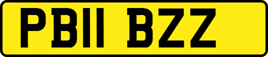 PB11BZZ