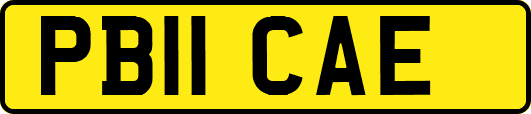 PB11CAE