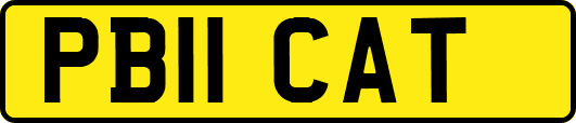 PB11CAT