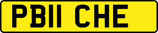 PB11CHE