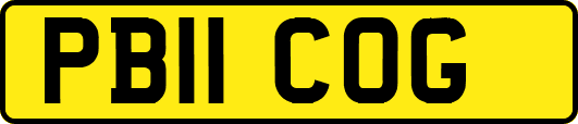 PB11COG