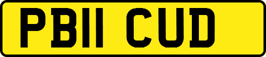 PB11CUD