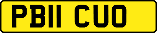 PB11CUO