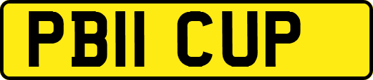 PB11CUP