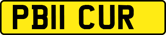 PB11CUR