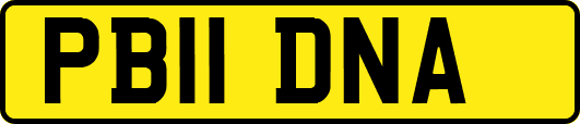 PB11DNA