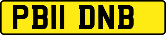 PB11DNB