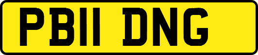 PB11DNG