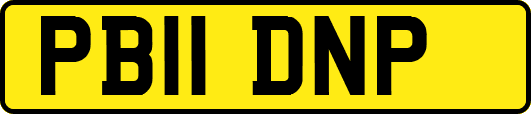 PB11DNP