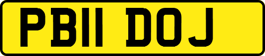 PB11DOJ
