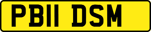PB11DSM