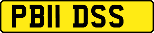 PB11DSS