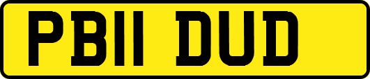 PB11DUD