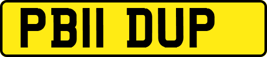 PB11DUP