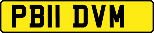 PB11DVM
