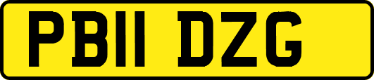 PB11DZG