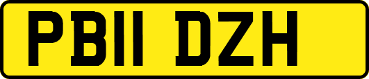 PB11DZH