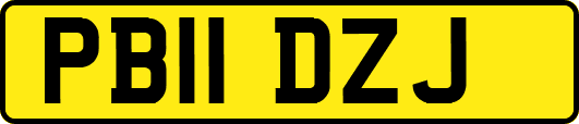 PB11DZJ