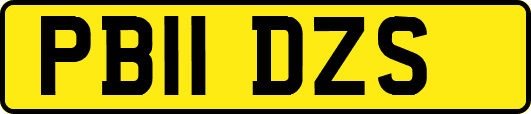 PB11DZS