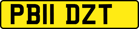 PB11DZT
